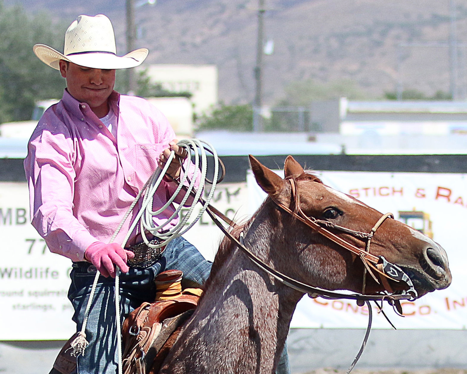 2018 Elko County Fair Open Branding Finals (21).JPG